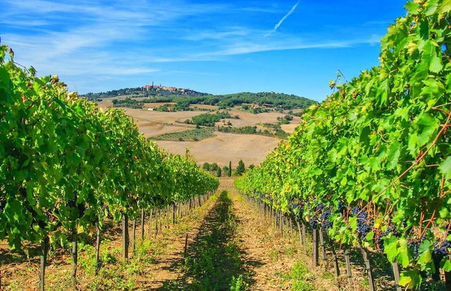 Castello di Spedaletto - Foto 44