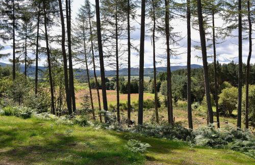 Mountshade - Foto 11