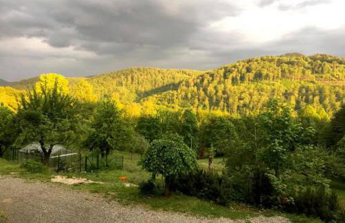 Osada Jelonki Wielka Puszcza - Foto 72