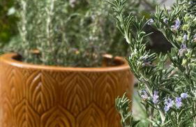 Capris Rustic Ηouse with Mountain View - Foto 42