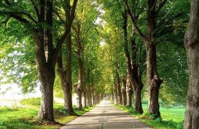 Fischstübchen Neeberg Apt 1 – Wald und Wiese - Foto 18