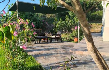 Elena's country house - Foto 19