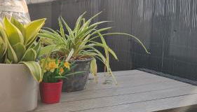 3,5 Zimmer Wohnung 68qm in Gladbeck mit Balkon und Stellplatz - Foto 3