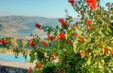 Panoramic Villa Among Vizzini's Cacti - Foto 40