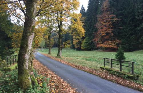 Ferienwohnung Amanda - Photo 14