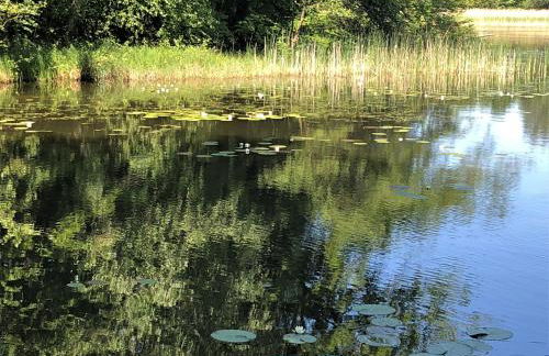 Ferienwohnung Will - Photo 33