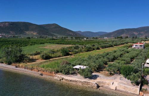 Villa of luxury and serenity - Photo 7