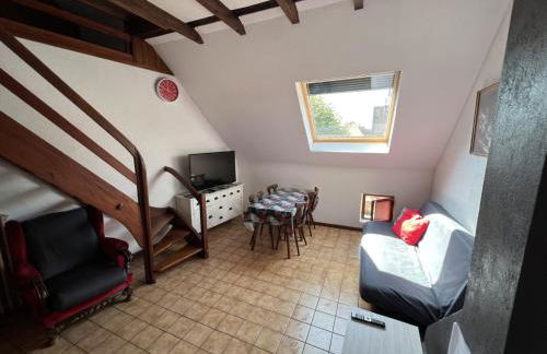 Gite des 5 cigognes rouge - Foto 8