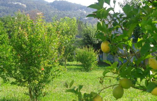 Bernardes House - Foto 52