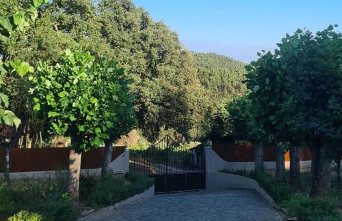 Retiro na Aldeia - Foto 6