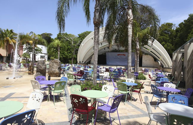 Select Club at Sandos Playacar All Inclusive - Adults Only Area - Photo 30