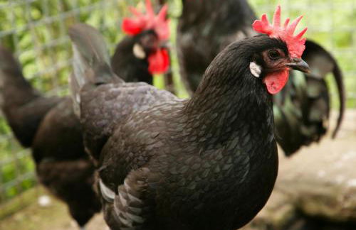 La Casa de los Arribes - Foto 57