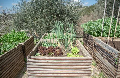 L'Agriturismo di Montalbino - Foto 52