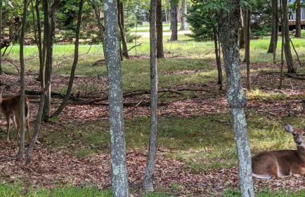 Mountain Hideout by Avantstay Game Room + Deck - Foto 94