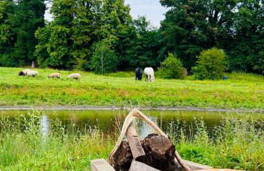 Farm woodland riverview cabin bbq firepit pet friendly - Foto 40