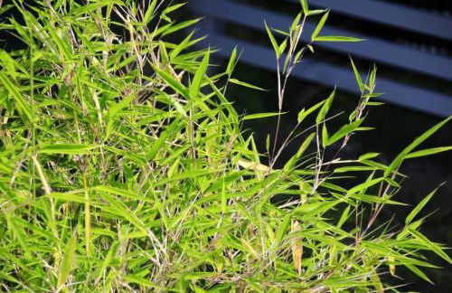 Holiday Home in Storkow mit Schönem Garten by Interhome - Foto 32