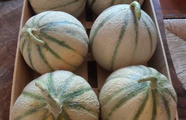 Apt en Luberon appartement 3 chambres et garage privée - Photo 13