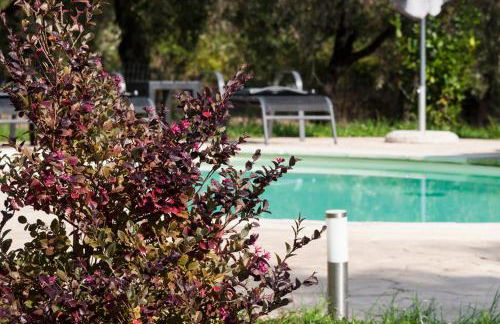 Agriturismo Tenuta Roccaccia - Foto 54