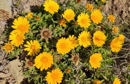 Playa Serena Zen - Foto 38