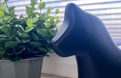 Stilvoll-Fewo mit Garten - Photo 45