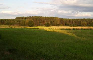 Dom na Kresach Grzybowszczyzna - Photo 56