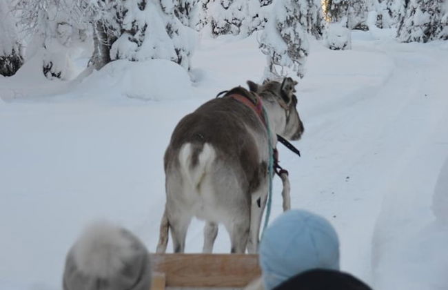 Rukariutta Apartments - Photo 44