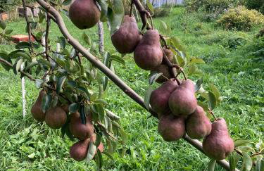 Dom Gościnny Zarembianka - Foto 35