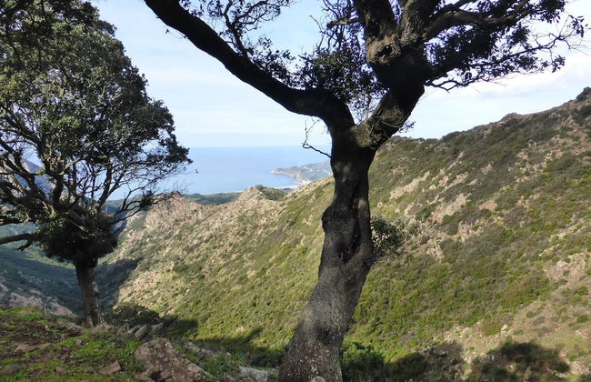 Charming 1-bed Apartment in Iglesias Sardinia - Foto 21