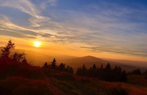Ferienwohnung zur alten Schmiede - Foto 40