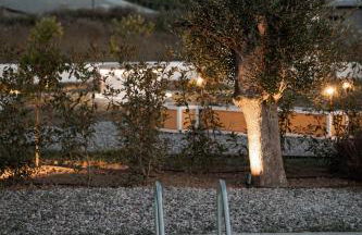 Trinity Design Suites - Foto 43