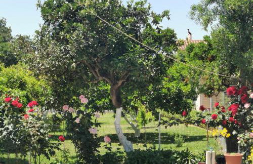 Kardiakafti Village - Foto 39