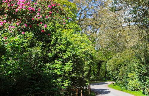 Bodior Garden Cottage - Foto 41