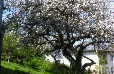 Ferienwohnung Hering in Dill - Foto 72