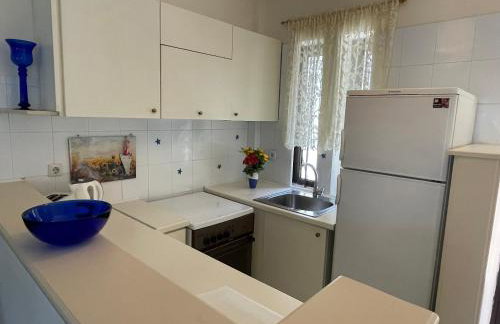 ILIOCHARI sea view apartments Oropos - Kalamos - Foto 63