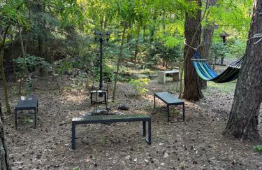 Leśna Chata Arciechów - Foto 23