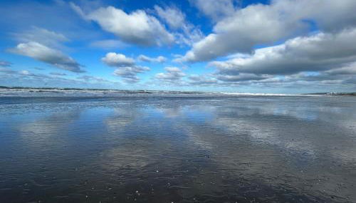 Détente sur la Côte d'Opale - Foto 3