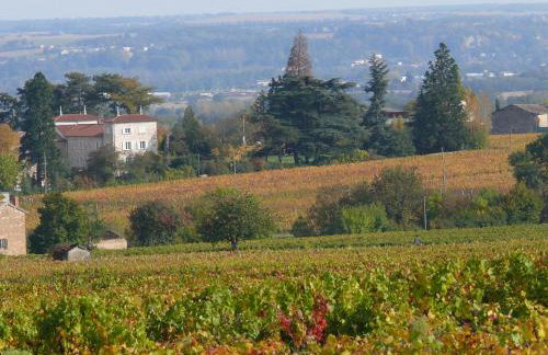 Séjour élégance et bien-être au CHATEAU de GRANDMONT - piscine et parc arboré au coeur du vignoble du Beaujolais - Foto 17