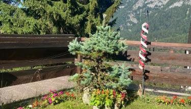 Casetta dei Cuori - Alpine Style Cozy Apartment - Photo 2
