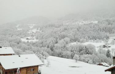 Chalet Le Grand Massif - Foto 24