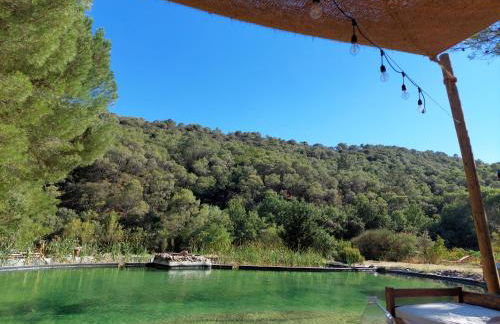 L'Etang Des Cigales - Foto 24