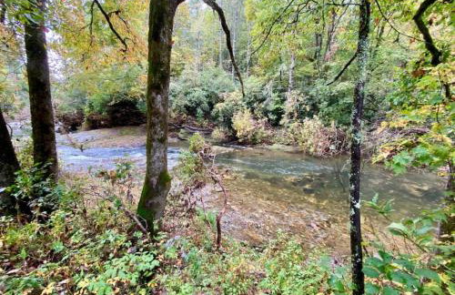 Pisgah Private Retreat Family Getaway with Hot Tub - Foto 3