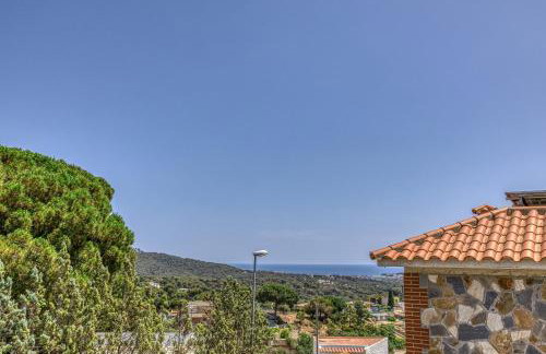 Olive - Foto 38
