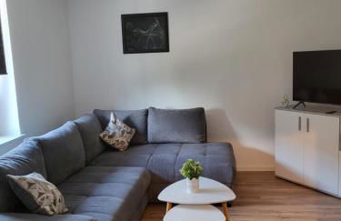 Exklusievwohnung Weißenfels - Foto 10