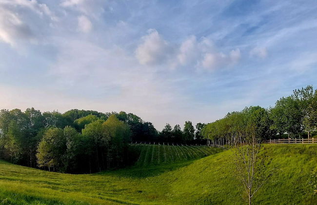 AGRITURISMO L'EREMO - Photo 25