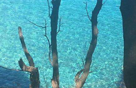 Villa Shanti Yoga & Meditation - Foto 75