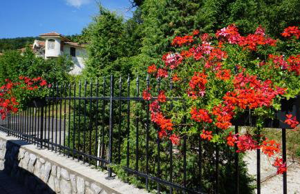 Apartments Villa Krasa - Foto 63