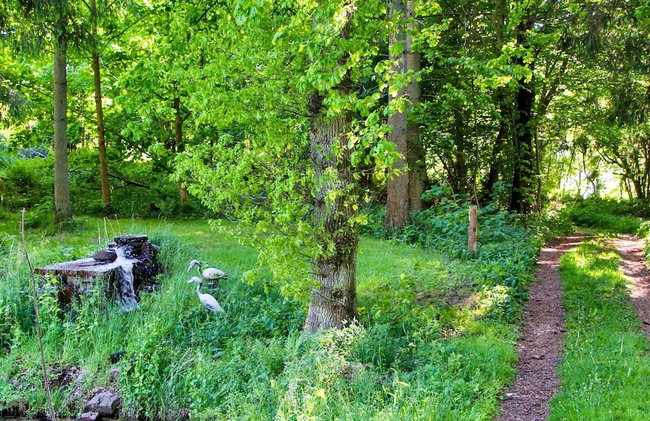 7 Person Holiday Home in Hornbaek-by Traum - Foto 46