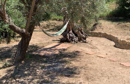 Olive Guest Farm - Foto 62