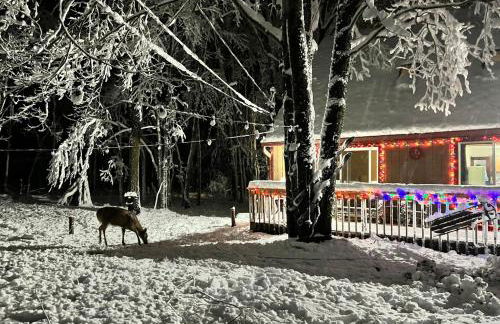 Ski, Unwind, Play Near Big Boulder, Game Room - Foto 60