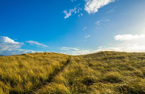 The Surfbird - Foto 33